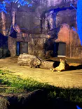 天王寺動物園に投稿された画像（2026/9/23）