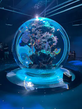 AQUARIUM × ART　atoaに投稿された画像（2026/9/22）