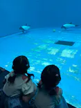 仙台うみの杜水族館に投稿された画像（2026/9/23）