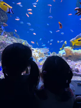 仙台うみの杜水族館に投稿された画像（2026/9/22）