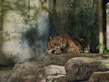 天王寺動物園に投稿された画像（2026/9/22）