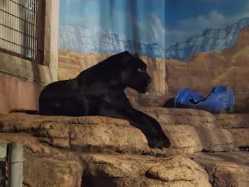 天王寺動物園に投稿された画像（2026/9/22）