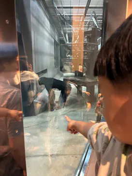 天王寺動物園に投稿された画像（2026/9/22）