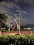 こども動物自然公園（埼玉県公園緑地協会）に投稿された画像（2026/9/23）