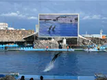 名古屋港水族館に投稿された画像（2026/9/23）