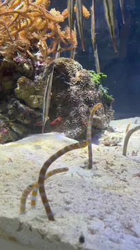 名古屋港水族館に投稿された画像（2026/9/22）