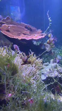名古屋港水族館に投稿された画像（2026/9/22）