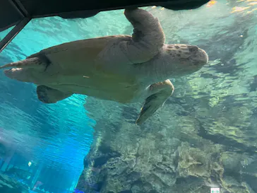 名古屋港水族館に投稿された画像（2026/9/22）
