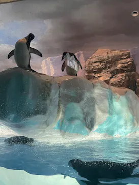 名古屋港水族館に投稿された画像（2026/9/22）