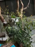 多摩動物公園に投稿された画像（2026/9/23）