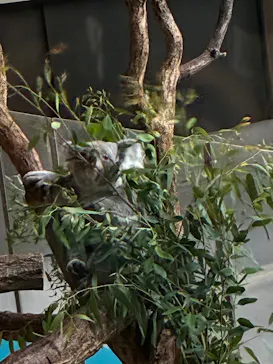 多摩動物公園に投稿された画像（2026/9/22）