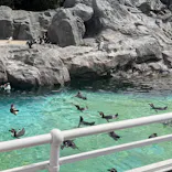 葛西臨海水族園に投稿された画像（2026/9/23）