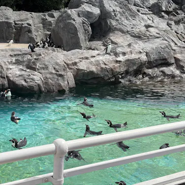 葛西臨海水族園に投稿された画像（2026/9/23）