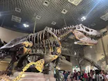 国立科学博物館に投稿された画像（2026/9/23）