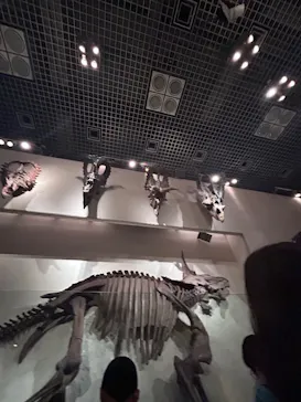 国立科学博物館に投稿された画像（2026/9/23）