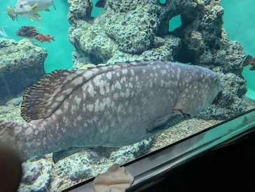 葛西臨海水族園に投稿された画像（2026/9/23）