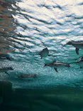 天王寺動物園に投稿された画像（2026/9/23）