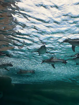 天王寺動物園に投稿された画像（2026/9/23）