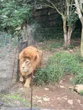 秋吉台自然動物公園 サファリランドに投稿された画像（2026/9/23）