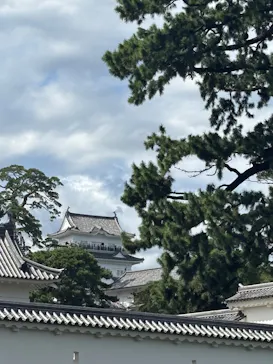 小田原城に投稿された画像（2026/9/23）