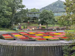 とっとり花回廊に投稿された画像（2026/9/23）