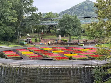 とっとり花回廊に投稿された画像（2026/9/23）
