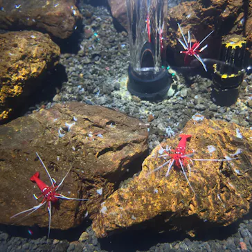 AQUARIUM × ART　atoaに投稿された画像（2026/9/23）