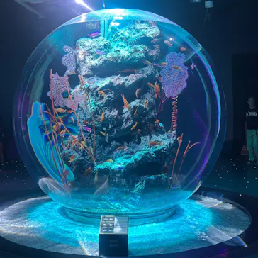 AQUARIUM × ART　atoaに投稿された画像（2026/9/23）