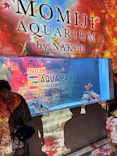 マクセル アクアパーク品川に投稿された画像（2026/9/23）