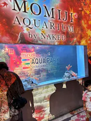 マクセル アクアパーク品川に投稿された画像（2026/9/23）