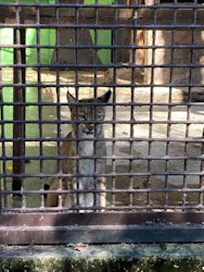 宇都宮動物園に投稿された画像（2026/9/23）