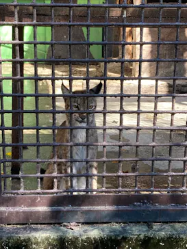 宇都宮動物園に投稿された画像（2026/9/23）