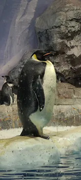 名古屋港水族館に投稿された画像（2026/9/23）