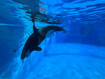 名古屋港水族館に投稿された画像（2026/9/23）