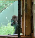 名古屋市東山動植物園に投稿された画像（2026/9/23）