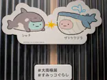大南極展に投稿された画像（2026/9/23）