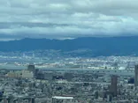 ハルカス300(展望台)に投稿された画像（2026/9/23）