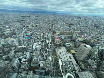 ハルカス300(展望台)に投稿された画像（2026/9/23）
