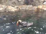 葛西臨海水族園に投稿された画像（2026/9/23）