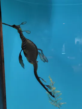 葛西臨海水族園に投稿された画像（2026/9/23）