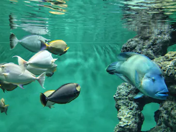 葛西臨海水族園に投稿された画像（2026/9/23）