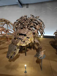 福井県立恐竜博物館に投稿された画像（2026/9/23）