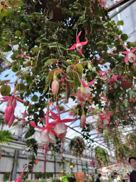 掛川花鳥園に投稿された画像（2026/9/23）