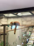 天王寺動物園に投稿された画像（2026/9/23）