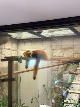 天王寺動物園に投稿された画像（2026/9/23）