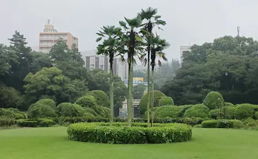 新宿御苑に投稿された画像（2026/9/23）