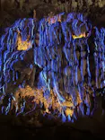 CAVE OKINAWAに投稿された画像（2026/9/23）