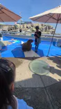 大分マリーンパレス水族館 「うみたまご」に投稿された画像（2026/9/23）