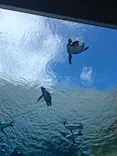 島根県立 しまね海洋館に投稿された画像（2026/9/23）