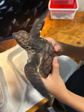 串本海中公園水族館に投稿された画像（2026/9/23）